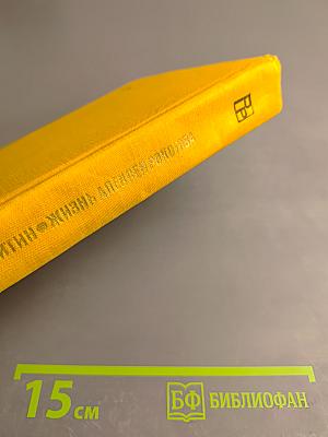 Жизнь Алексея Рокотова