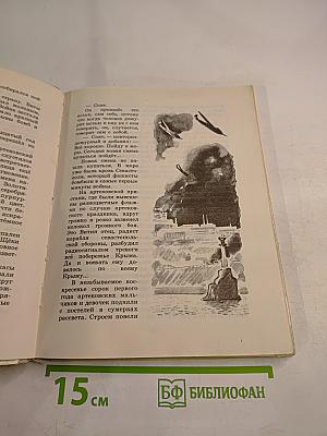 Письмо на панцире