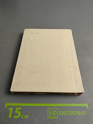 Выстоять и победить