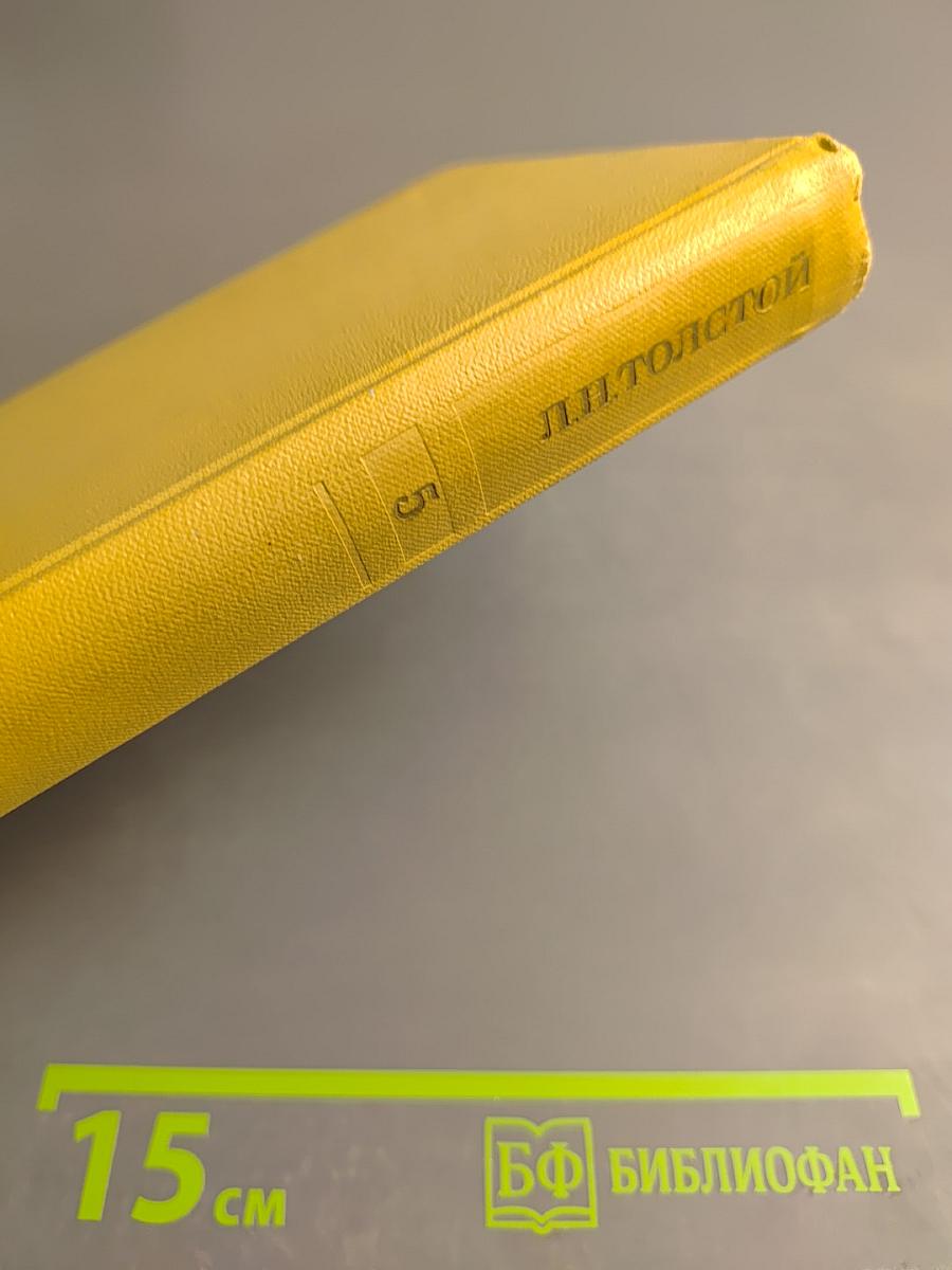 Война и мир. Том пятый