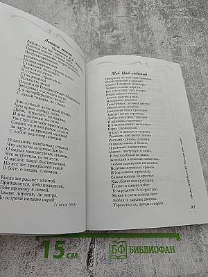 Рябиновые бусы. Сборник лирических стихов поэтов Комендантского аэродрома