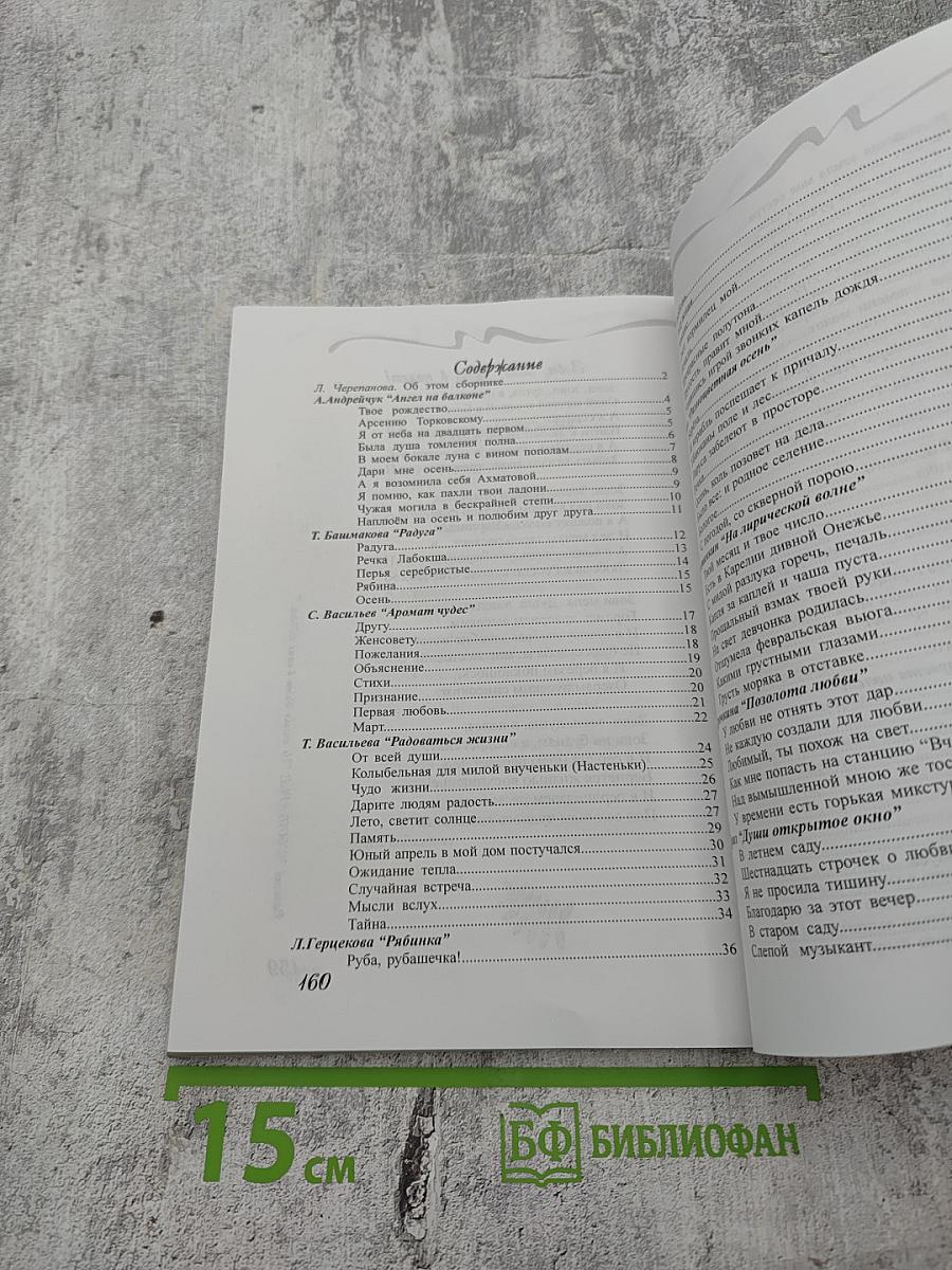 Рябиновые бусы. Сборник лирических стихов поэтов Комендантского аэродрома