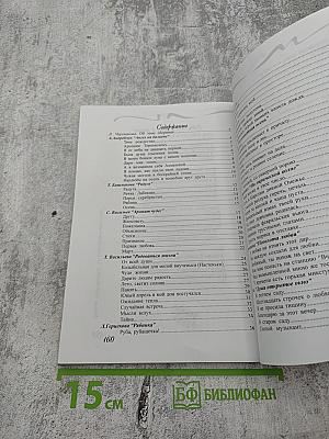 Рябиновые бусы. Сборник лирических стихов поэтов Комендантского аэродрома