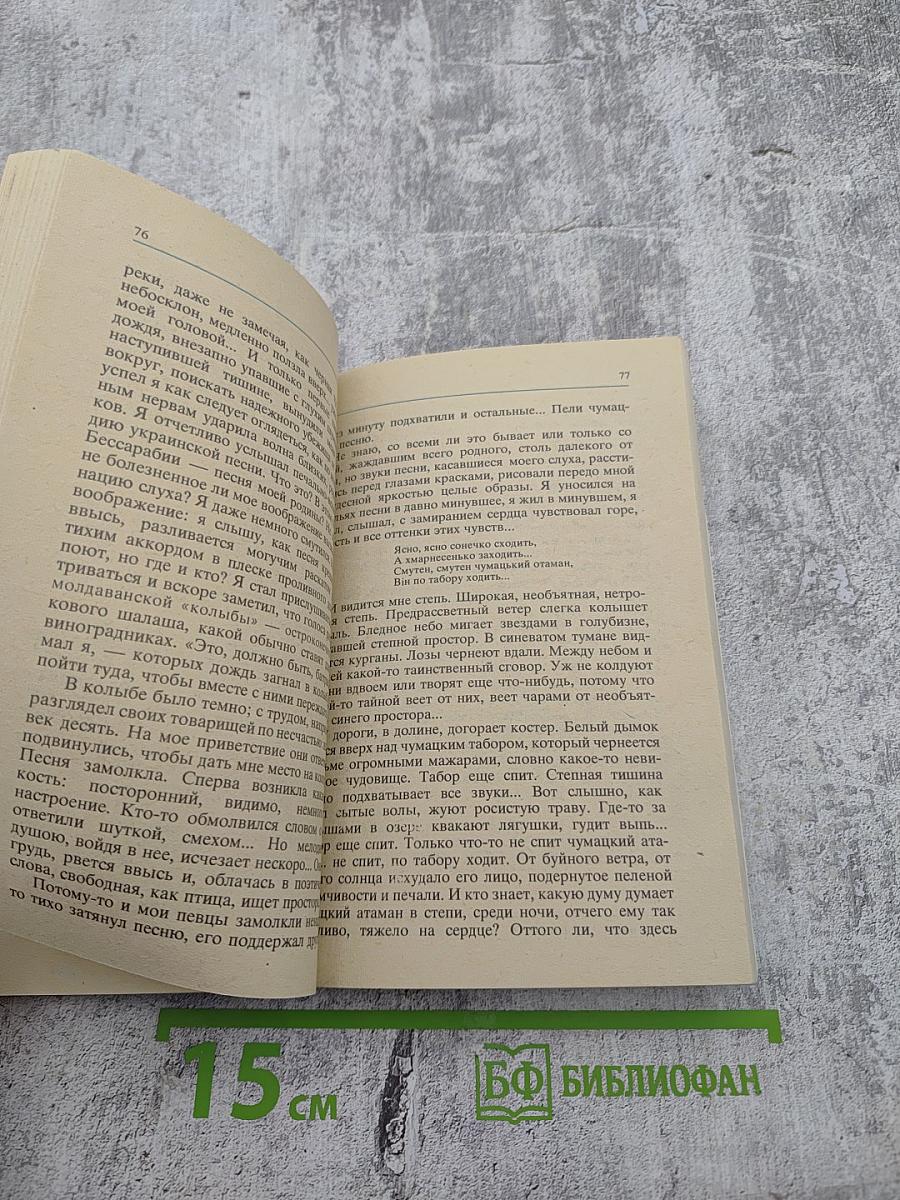 Лошади не виноваты