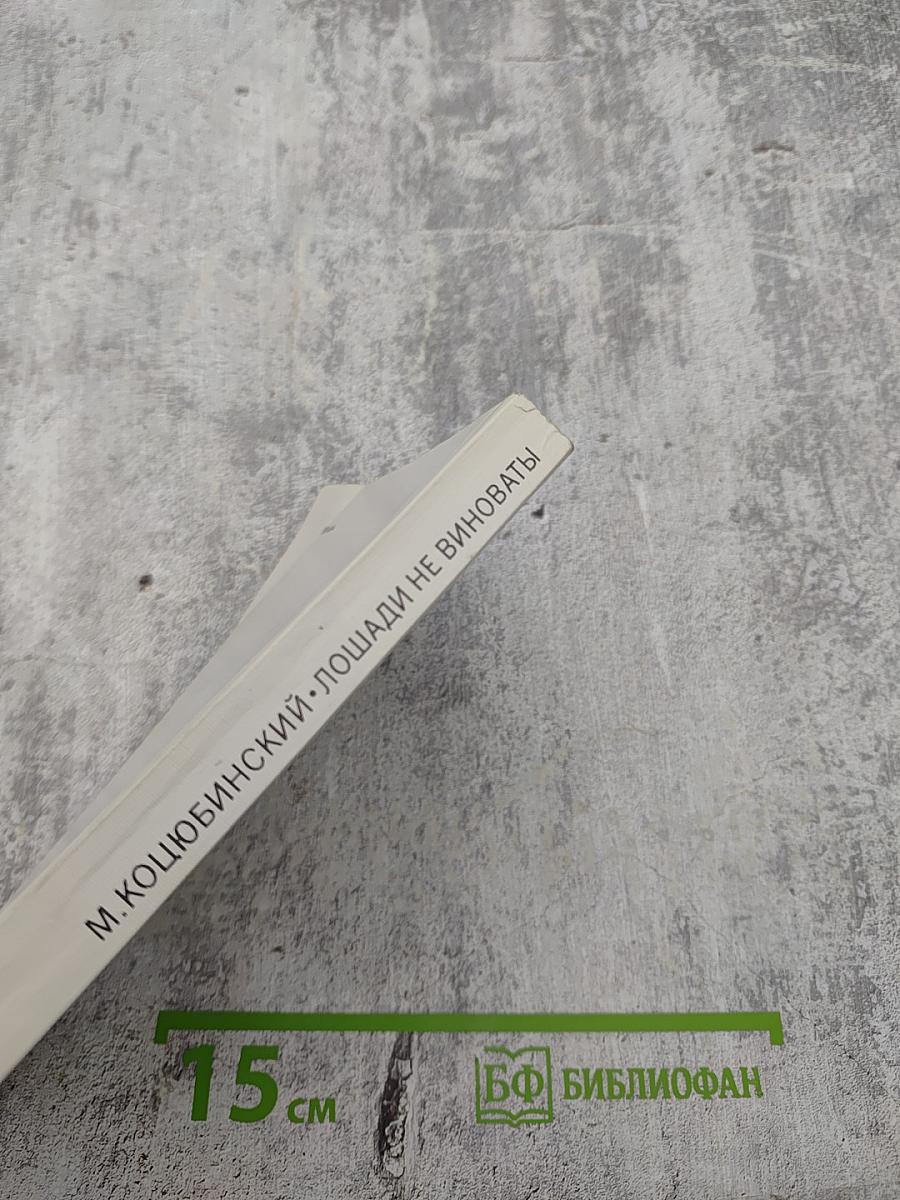 Лошади не виноваты