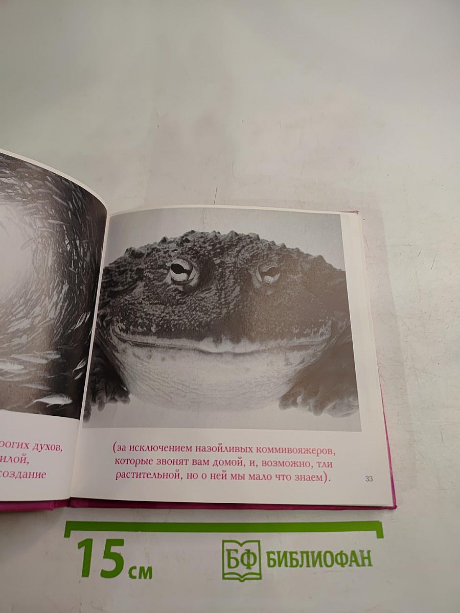 Простая правда о Любви