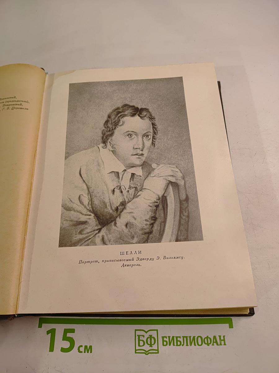 Шелли. Письма. Статьи. Фрагменты