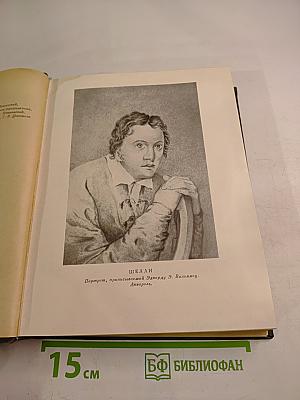 Шелли. Письма. Статьи. Фрагменты