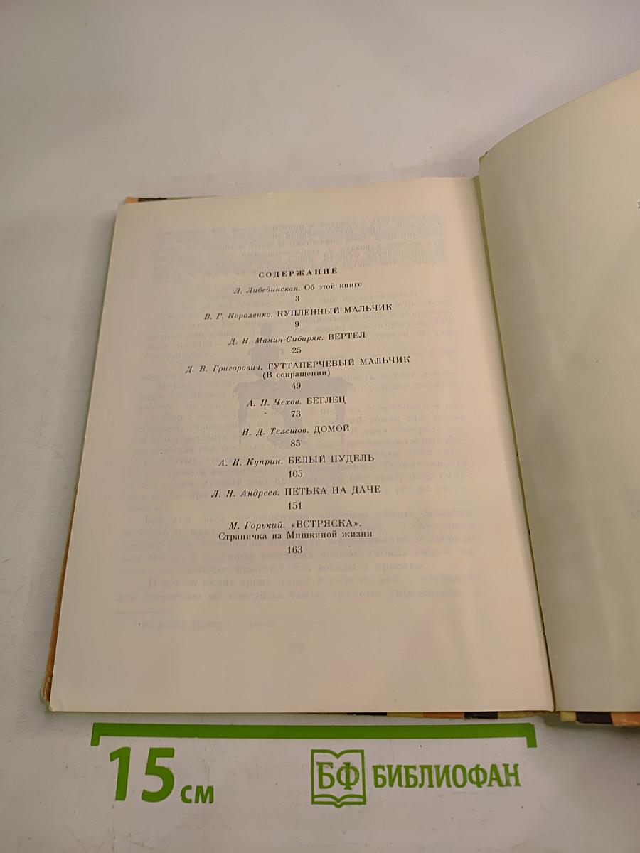 В детские годы: Избранные рассказы русских писателей