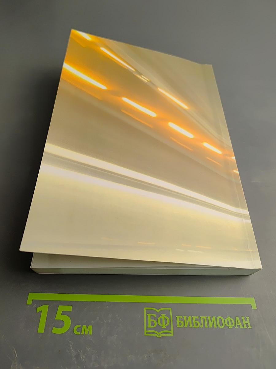 Политическая модернизация России в условиях глобализации цивилизационных процессов (на примере постсоветского пространства). Учебное пособие