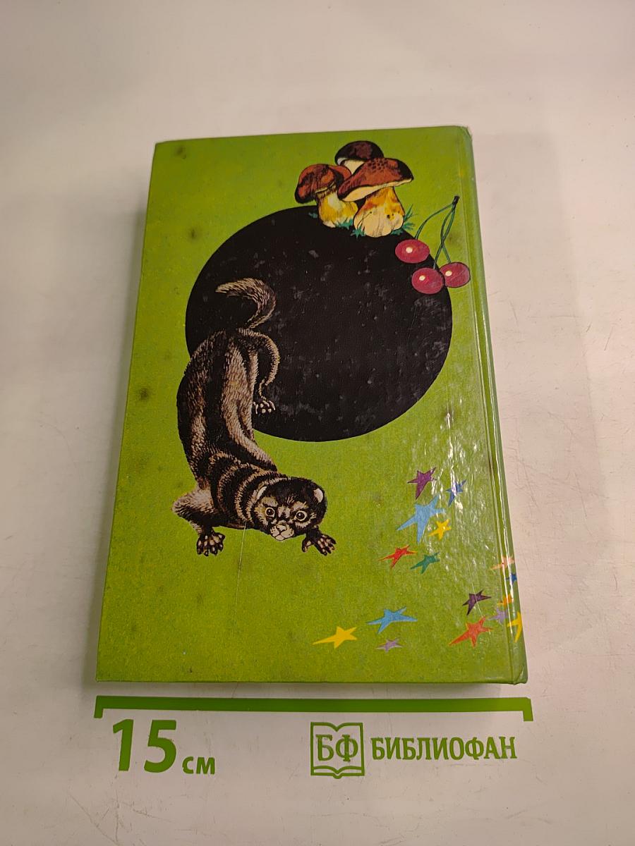 Все обо всём