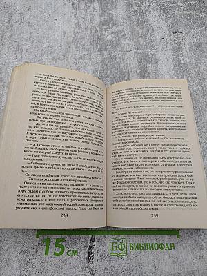 Портрет второй жены