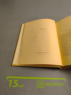 Виа Де'Магаззини. Семейная хроника