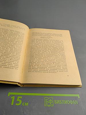 Виа Де'Магаззини. Семейная хроника