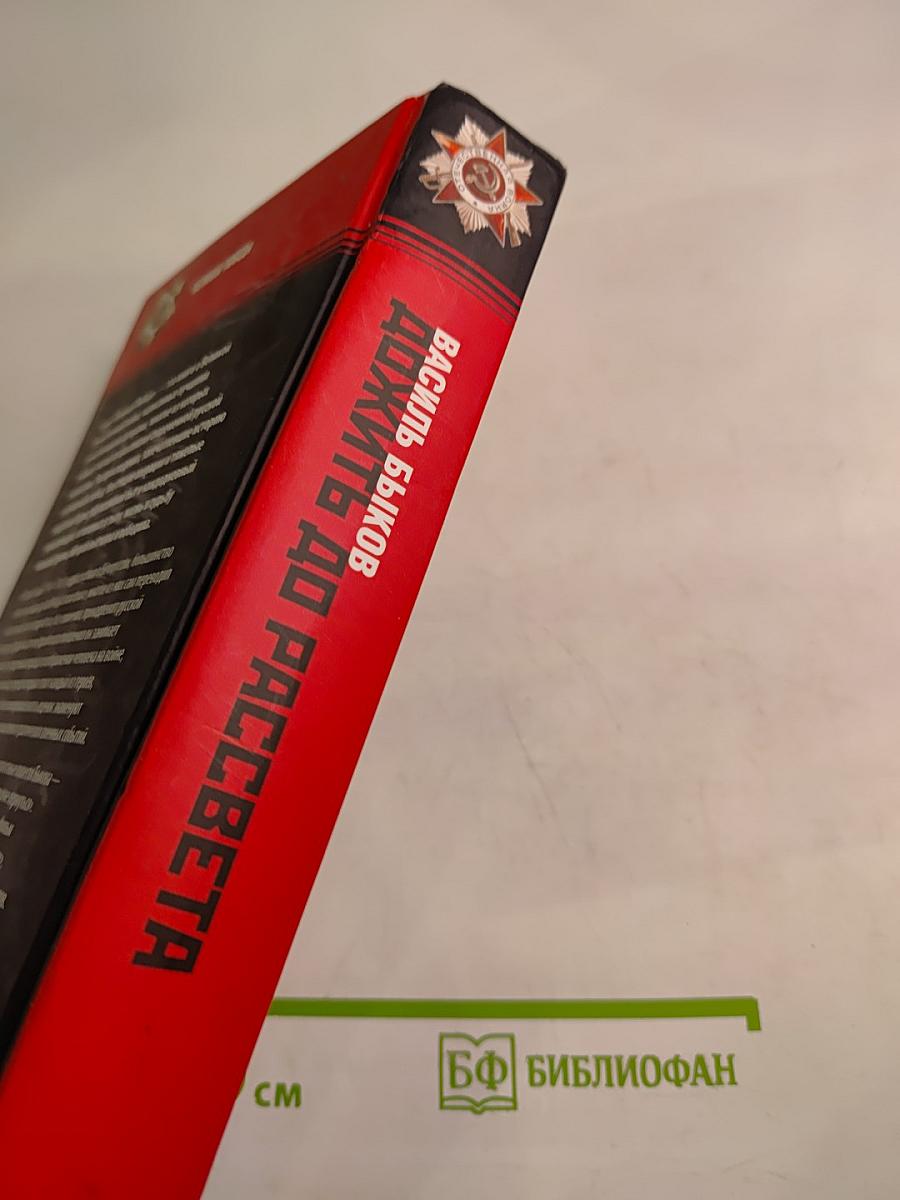 Дожить до рассвета