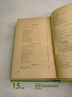 Со спичкой вокруг солнца. Фельетоны