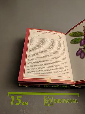 Плоды и ягоды