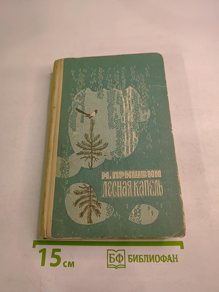 Лесная капель