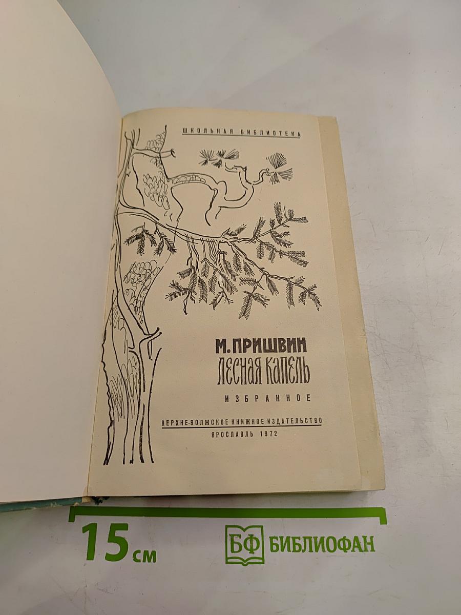 Лесная капель