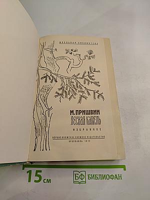 Лесная капель