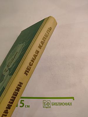 Лесная капель