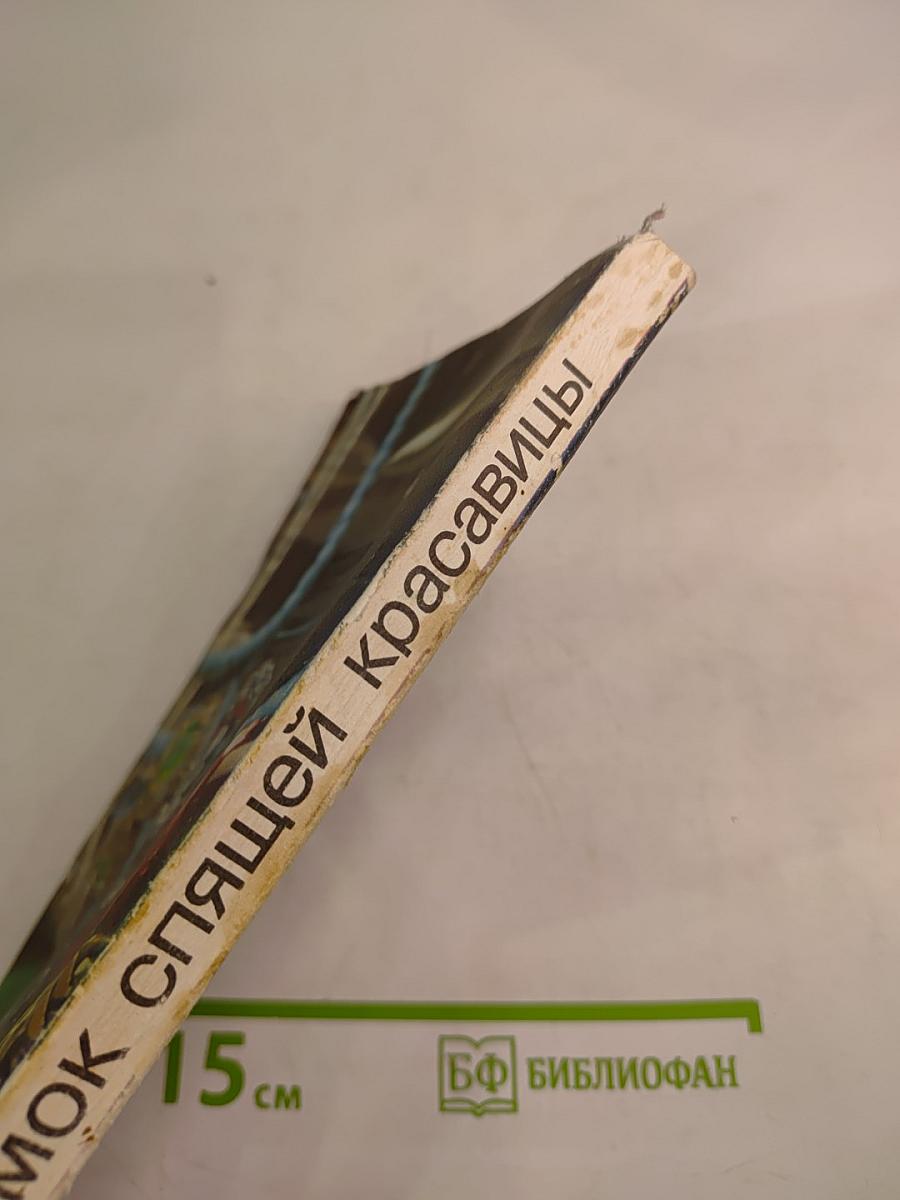 Замок спящей красавицы