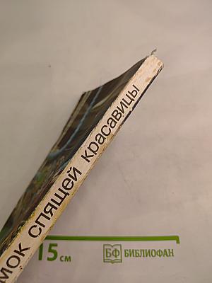 Замок спящей красавицы