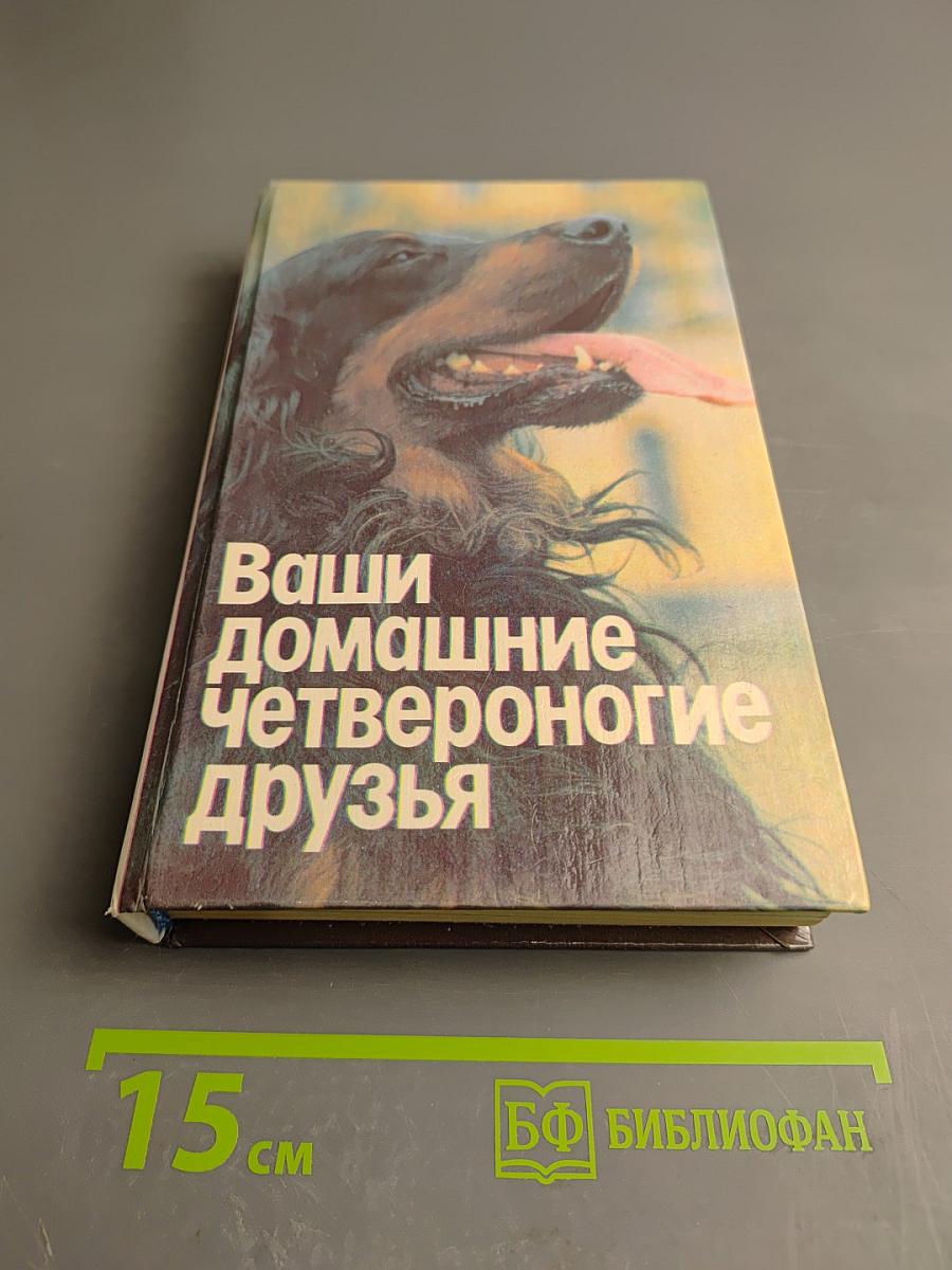 Ваши домашние четвероногие друзья