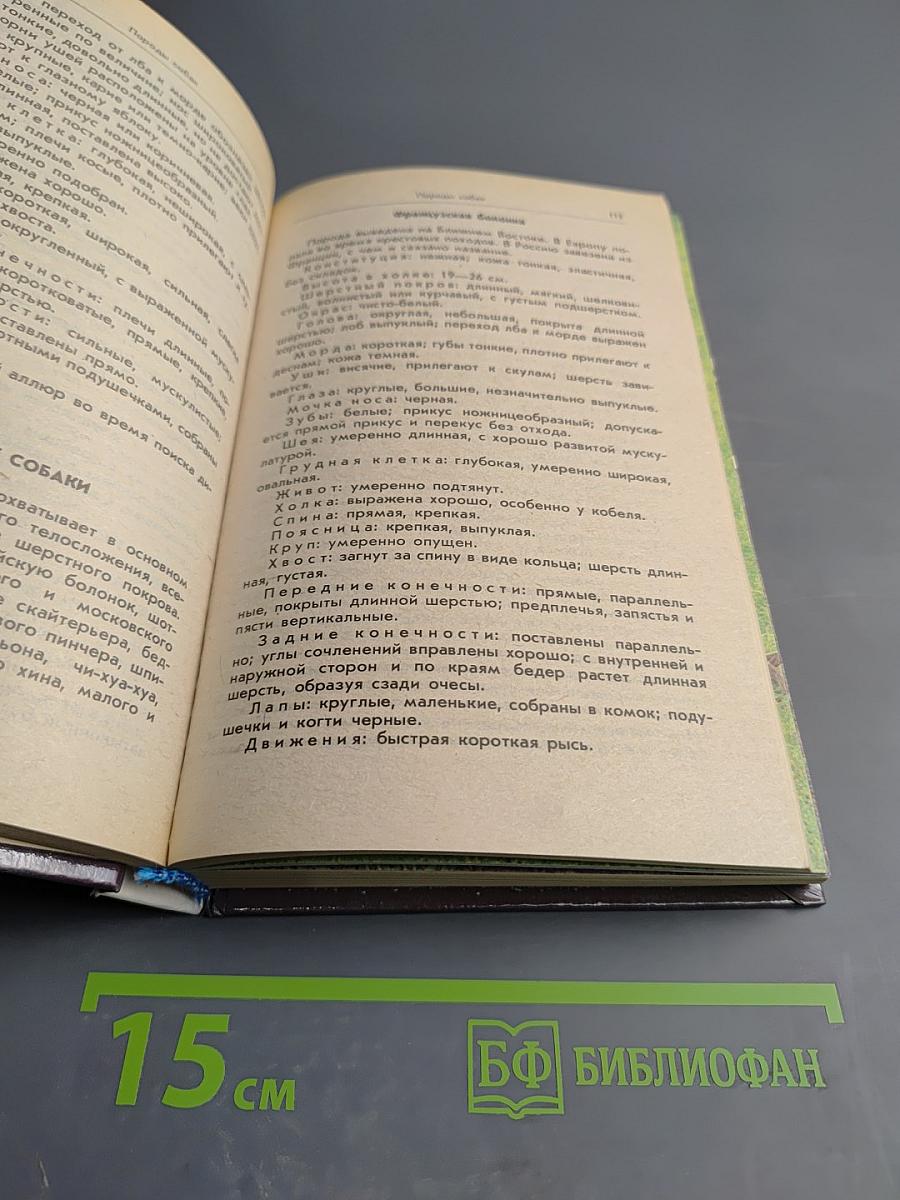 Ваши домашние четвероногие друзья