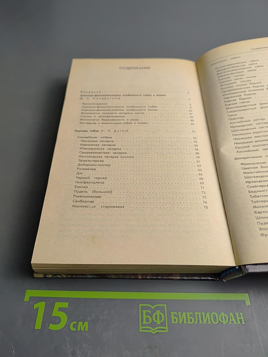 Ваши домашние четвероногие друзья