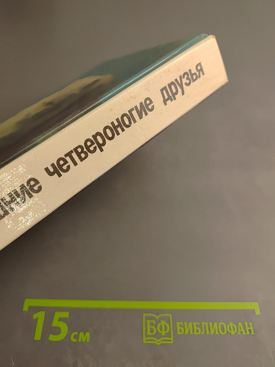 Ваши домашние четвероногие друзья