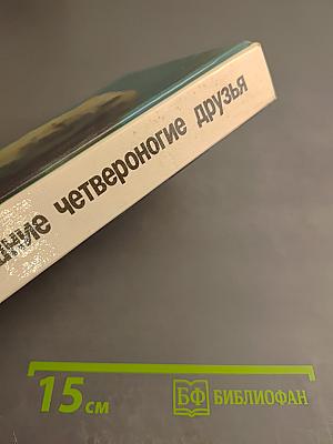 Ваши домашние четвероногие друзья