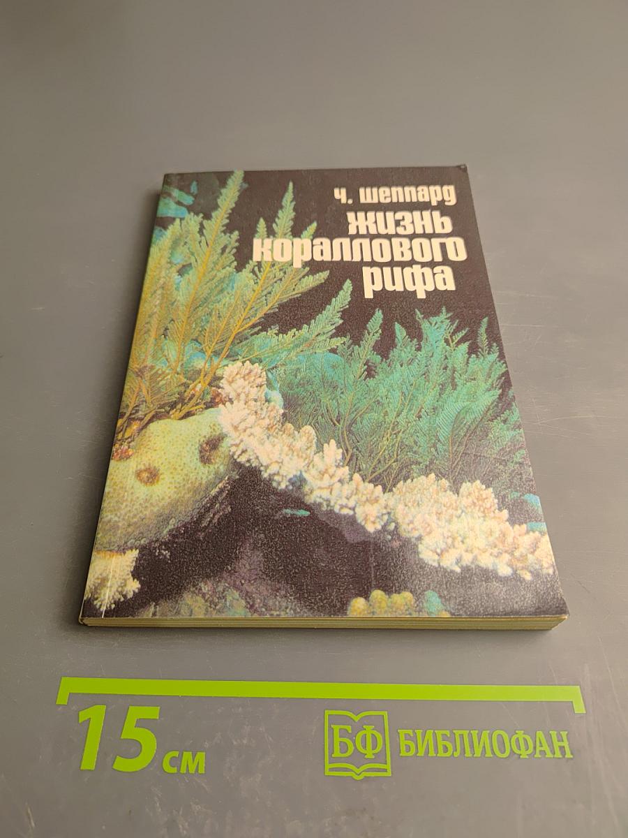 Жизнь кораллового рифа