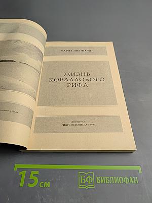 Жизнь кораллового рифа