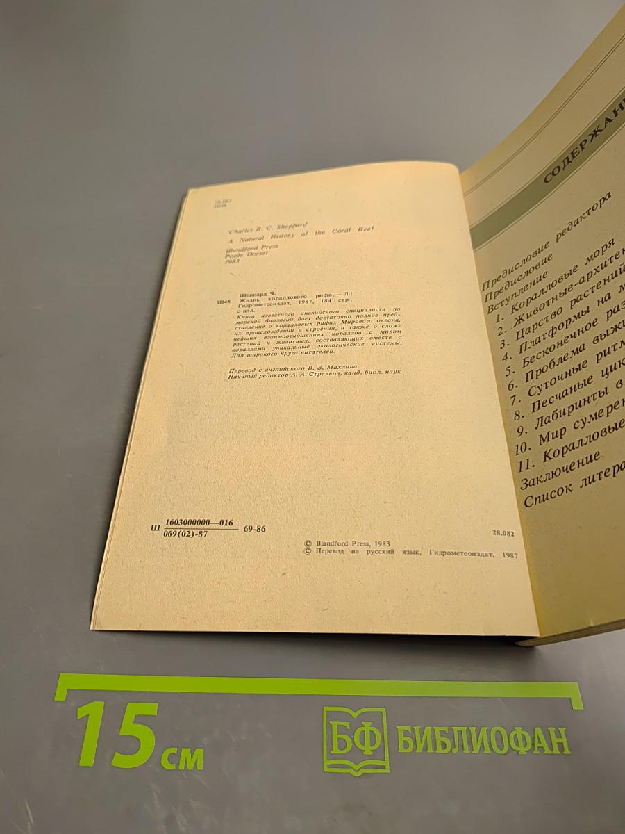 Жизнь кораллового рифа