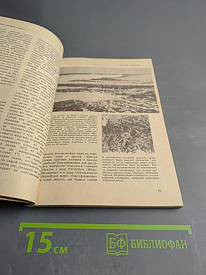 Жизнь кораллового рифа