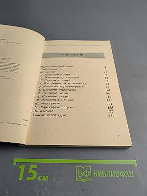 Жизнь кораллового рифа