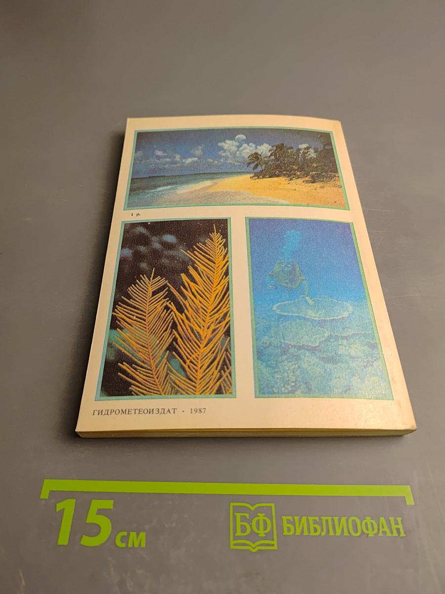 Жизнь кораллового рифа