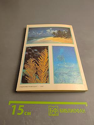 Жизнь кораллового рифа