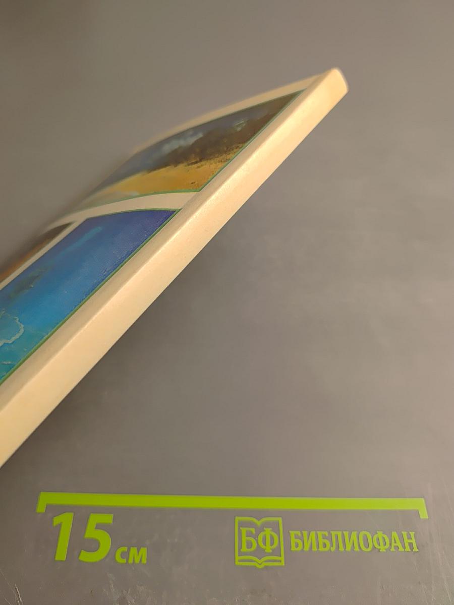 Жизнь кораллового рифа