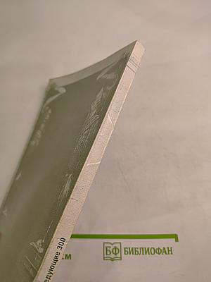 Петербург, следующие 300