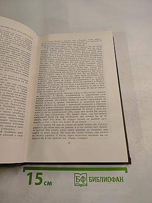 Собрание сочинений в двенадцати томах. Том 9: Американская трагедия