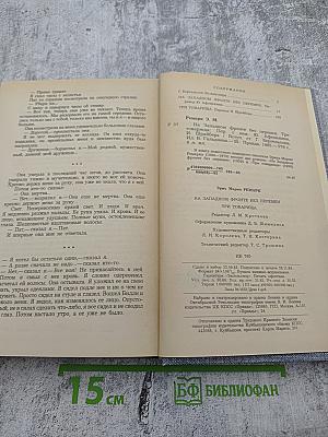 На Западном фронте без перемен. Три товарища