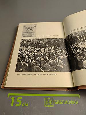 На темной ели или Звонкая свирель