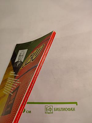Физическая подготовка баскетболистов
