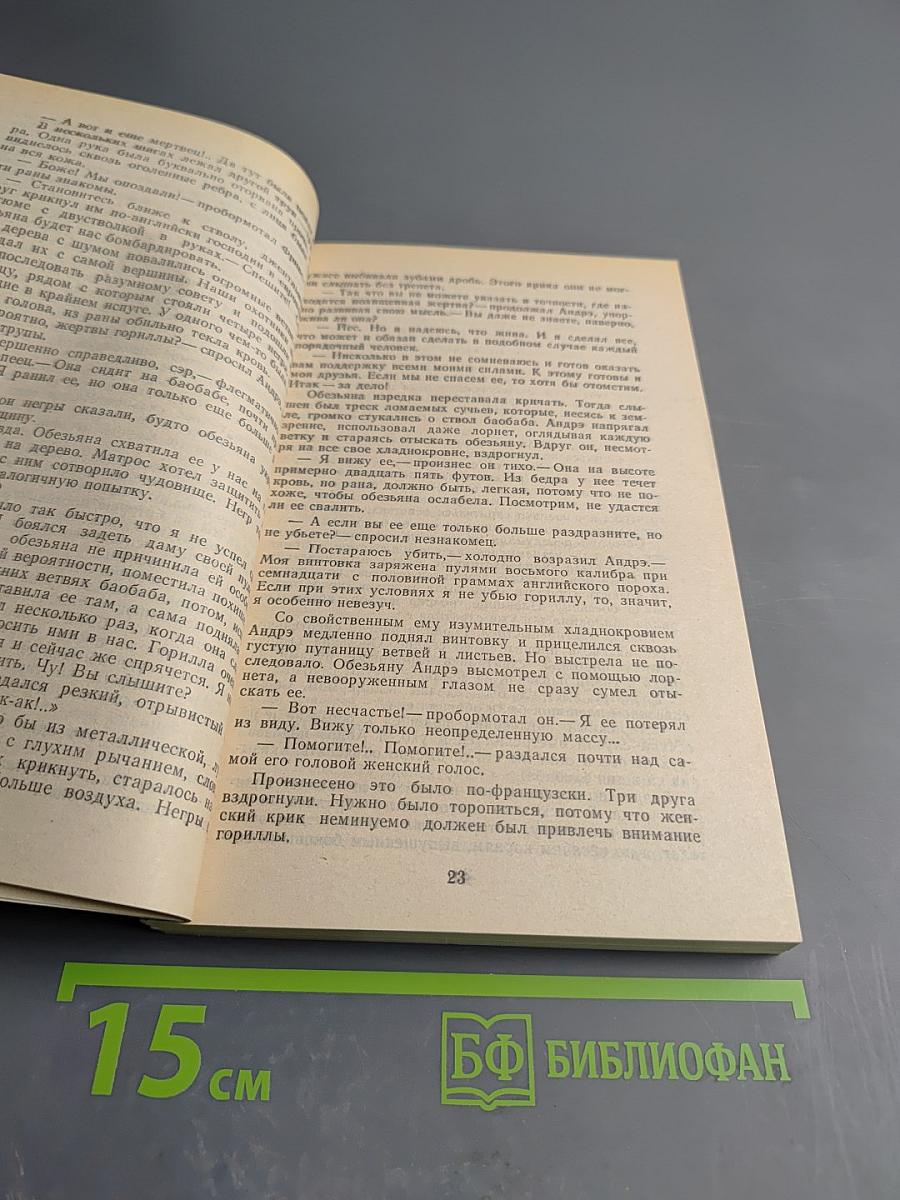 Приключения в стране львов