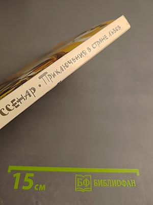 Приключения в стране львов