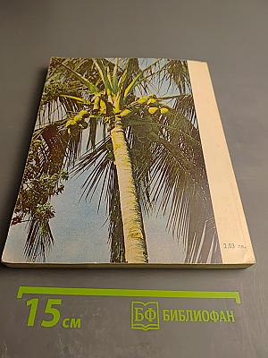 Тайфун над Манилой