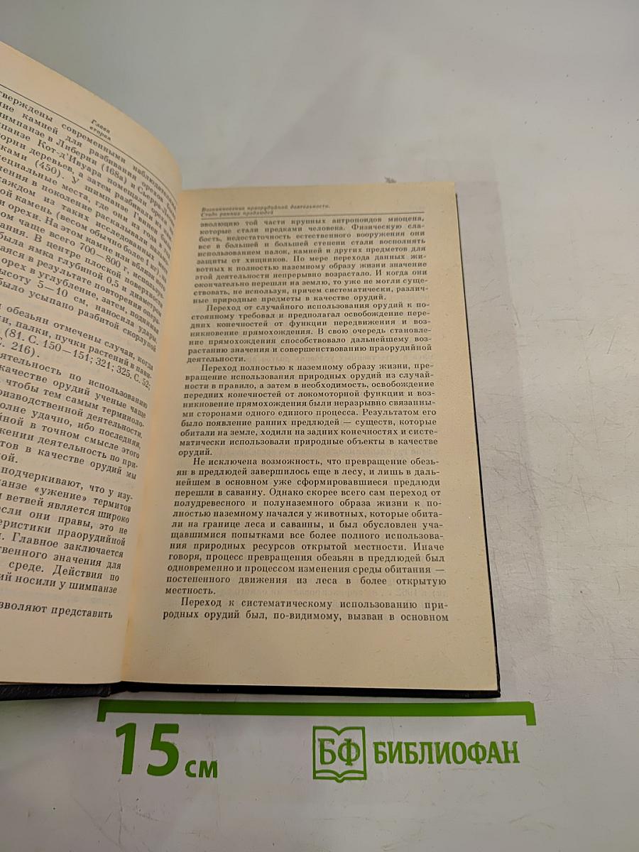 На заре человеческой истории