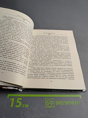 Шепот Земли и молчание Неба